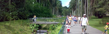 Foto do Jardim Bot�nico no Cursino